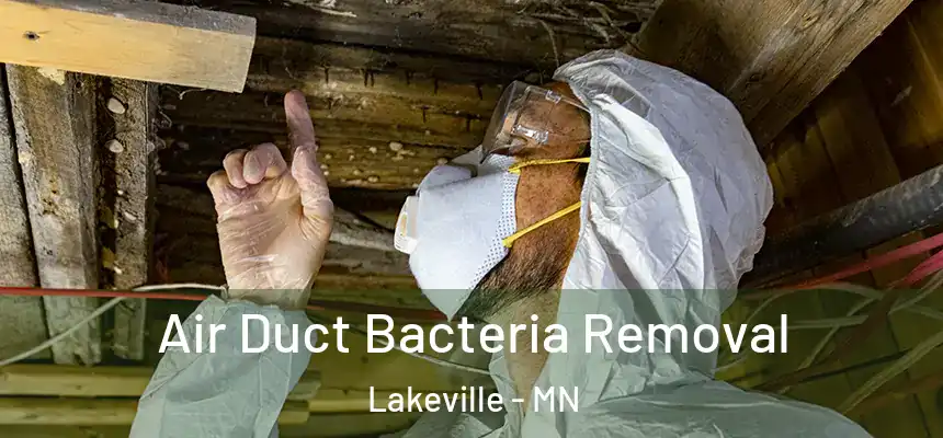  Air Duct Bacteria Removal Lakeville - MN