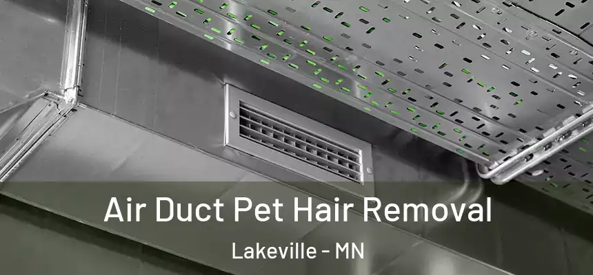  Air Duct Pet Hair Removal Lakeville - MN