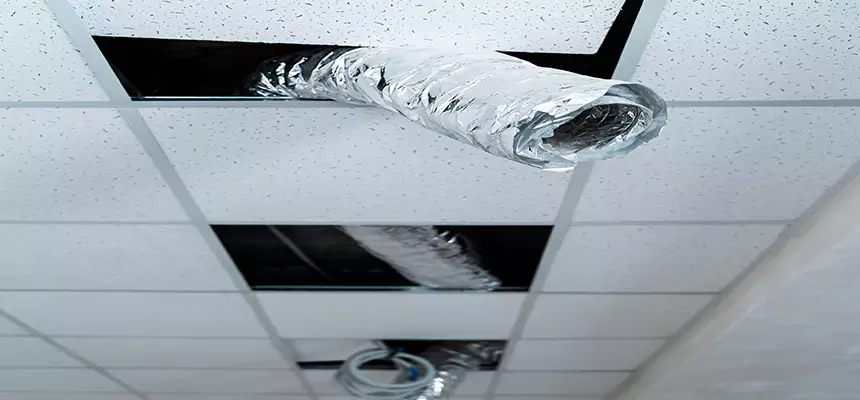 Our Air Duct Pet Hair Removal Services in Lakeville, MN