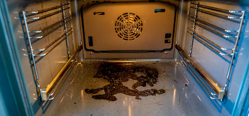 Our Air Purifier Installation Services in Lakeville, MN