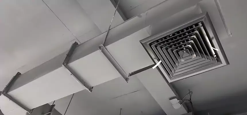 Our Pest Removal From Ducts Services in Lakeville, MN