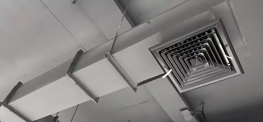 Our Rodent Droppings In Vents Services in Lakeville, MN