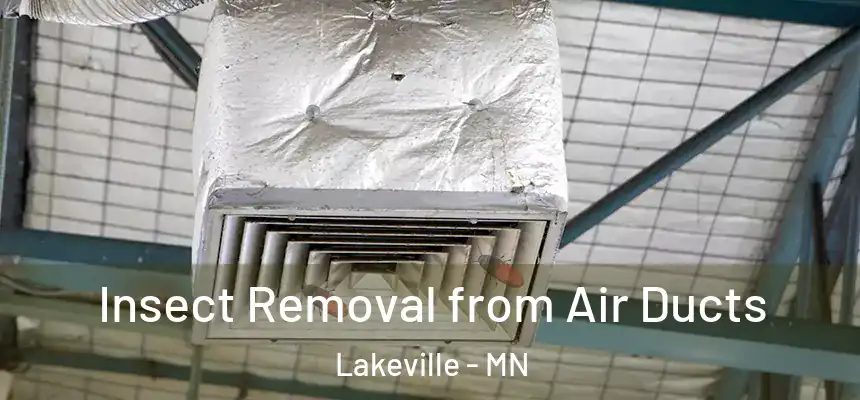  Insect Removal from Air Ducts Lakeville - MN