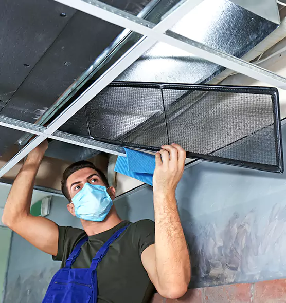 About Air Duct Bacteria Removal in Lakeville