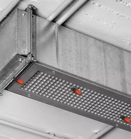 About Air Duct Cockroach Removal in Lakeville, MN