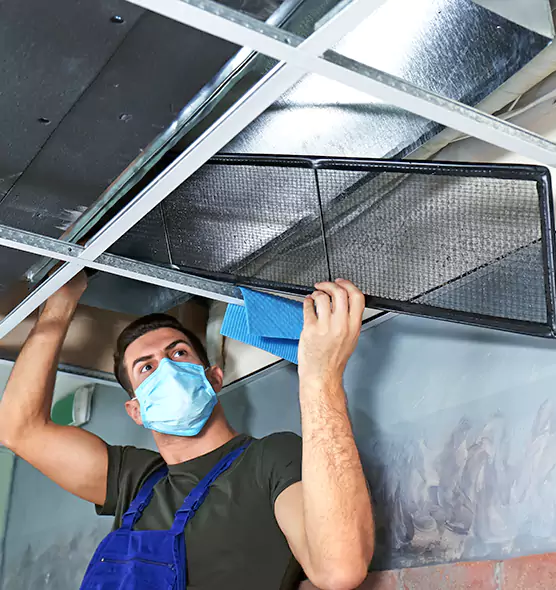 Professional Air Duct Pollen Cleaning in Lakeville, MN