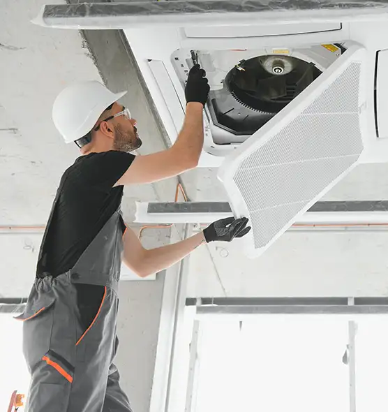 About Air Duct Rodent Removal in Lakeville, MN