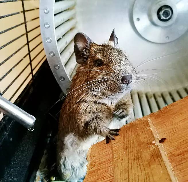 Why Homeowners & Businesses Trust Us Lakeville, MN?